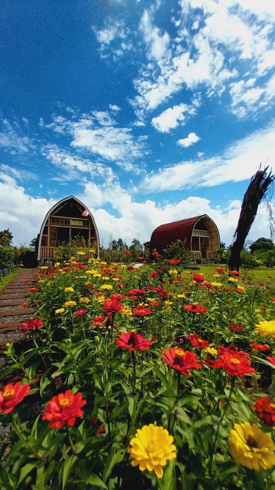 Raturinjani Homestay Selong Extérieur photo