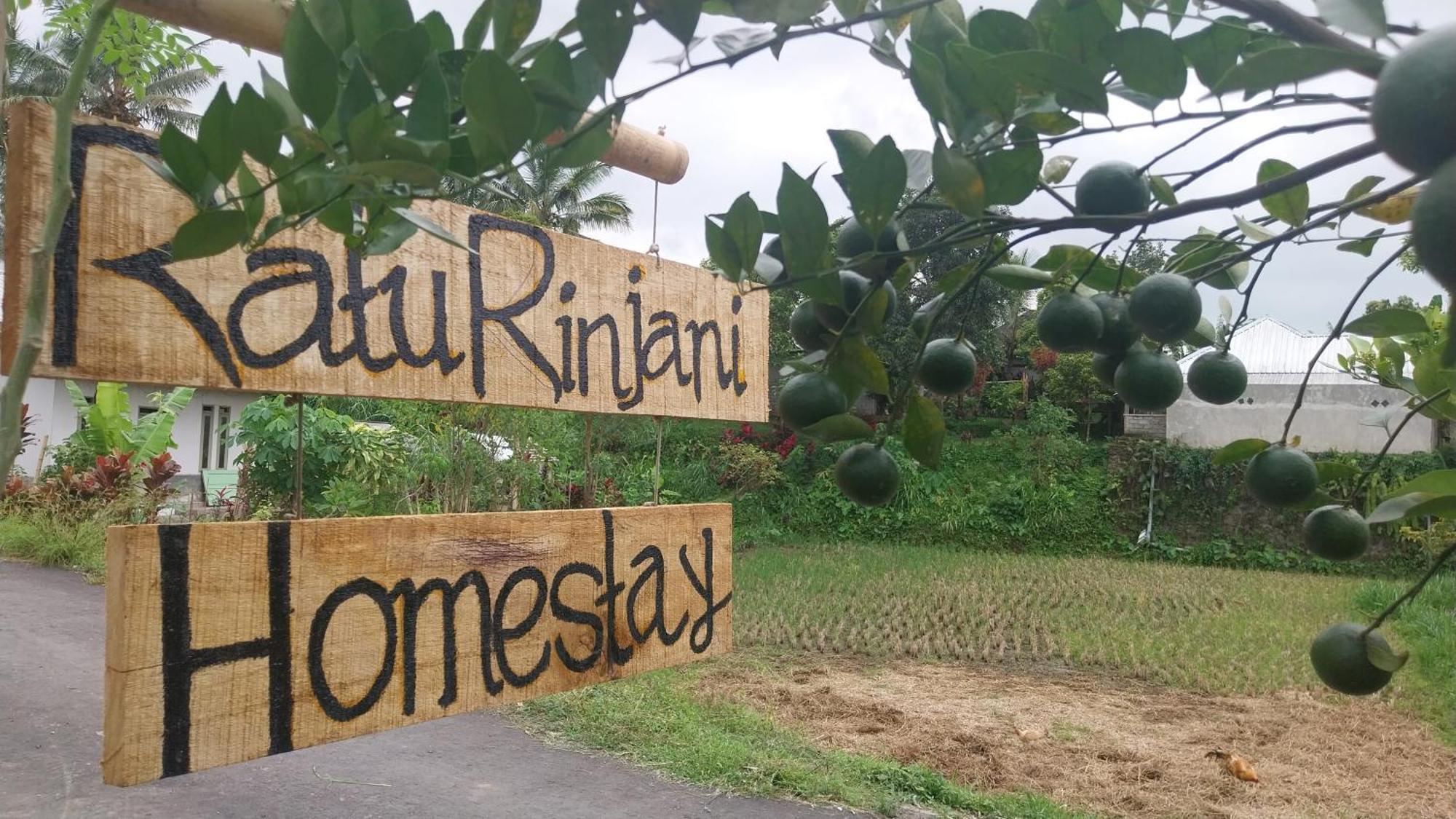 Raturinjani Homestay Selong Extérieur photo