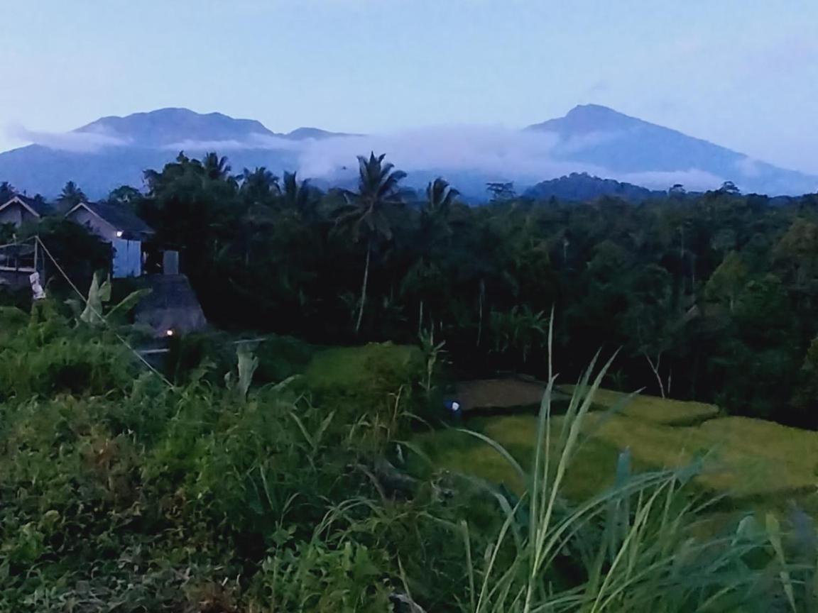 Raturinjani Homestay Selong Extérieur photo