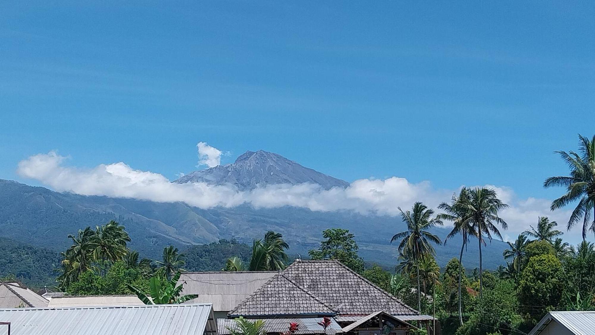 Raturinjani Homestay Selong Extérieur photo