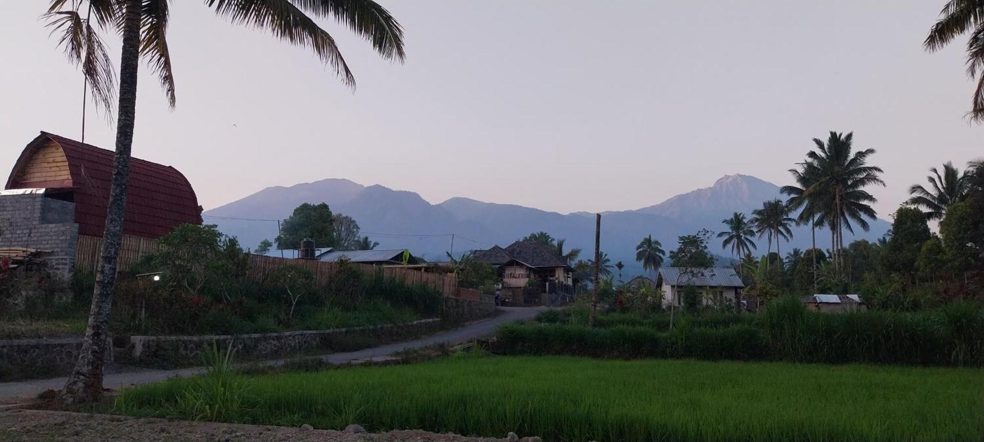 Raturinjani Homestay Selong Extérieur photo