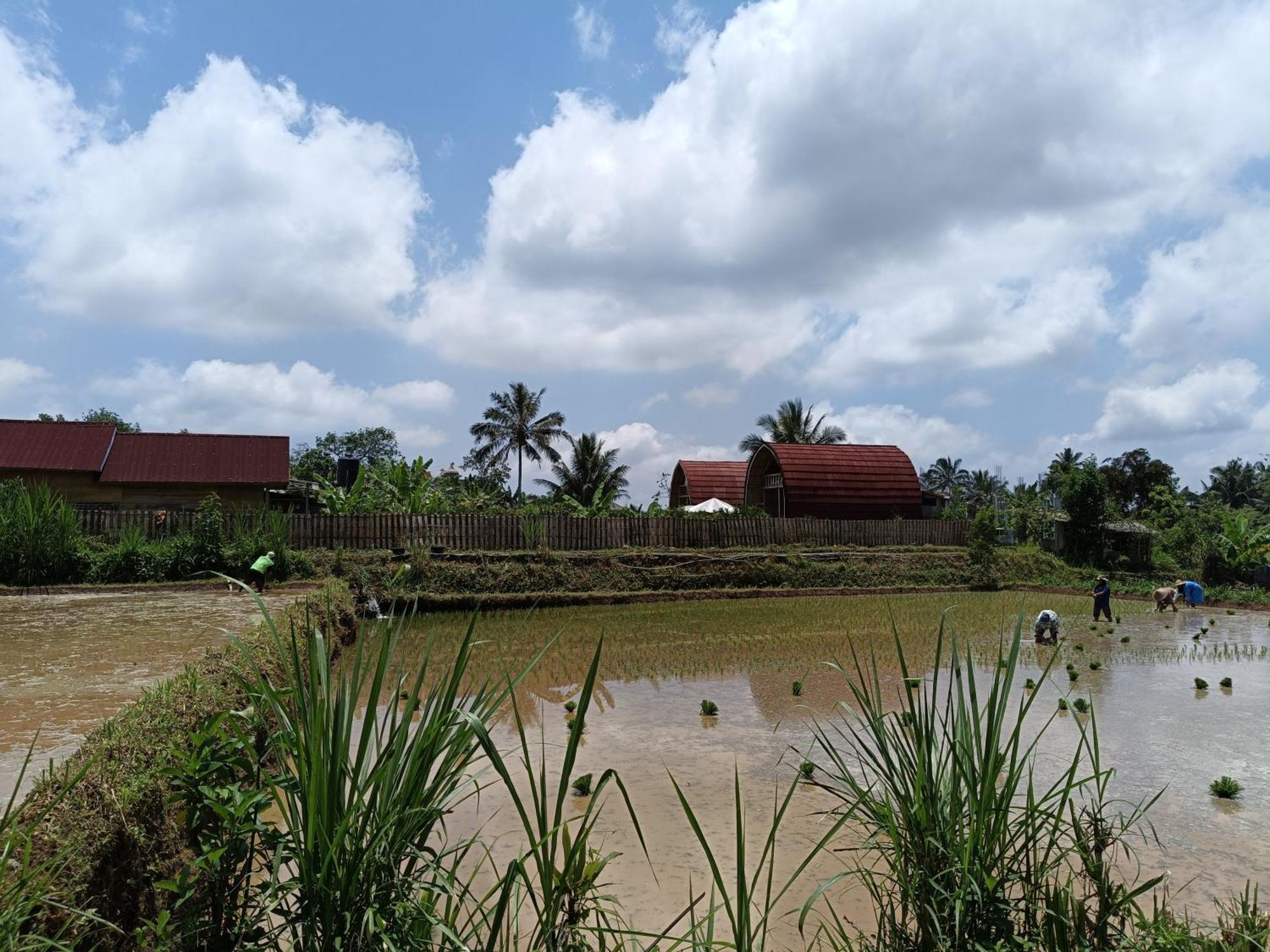 Raturinjani Homestay Selong Extérieur photo